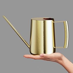 indoor plant accessories tiny watering can small plant watering can brass watering can water plant