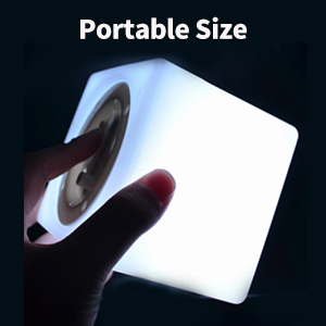 Portable size