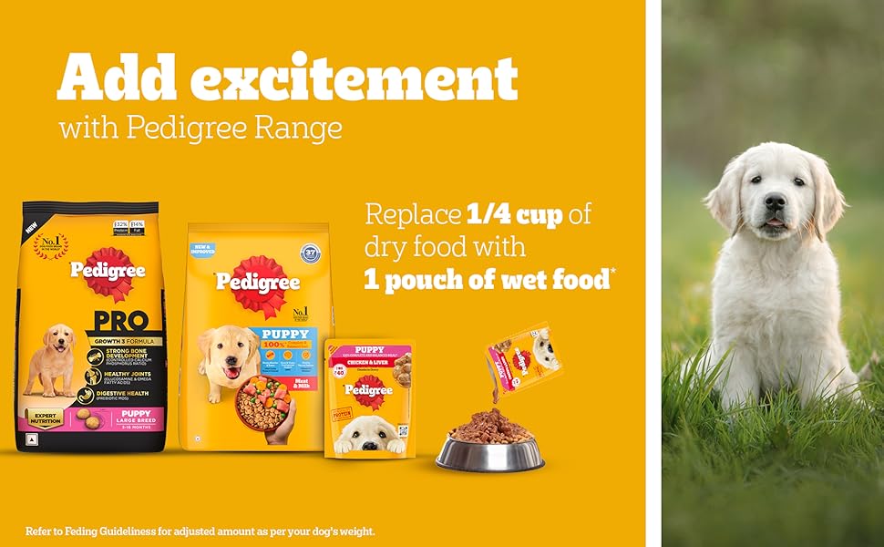Pedigree, wet food, wet food for dogs, dog food, adult dog food, wet food for adult dogs