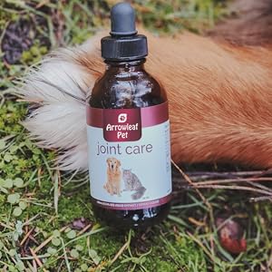 Arrowleaf Pet Joint Care dog paw