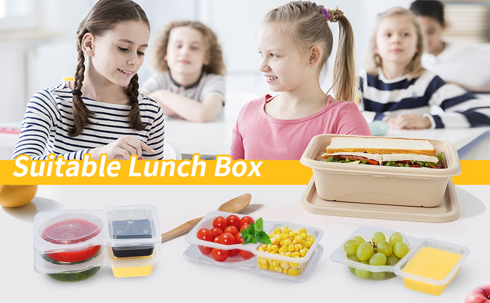 Suitable Lunch Box