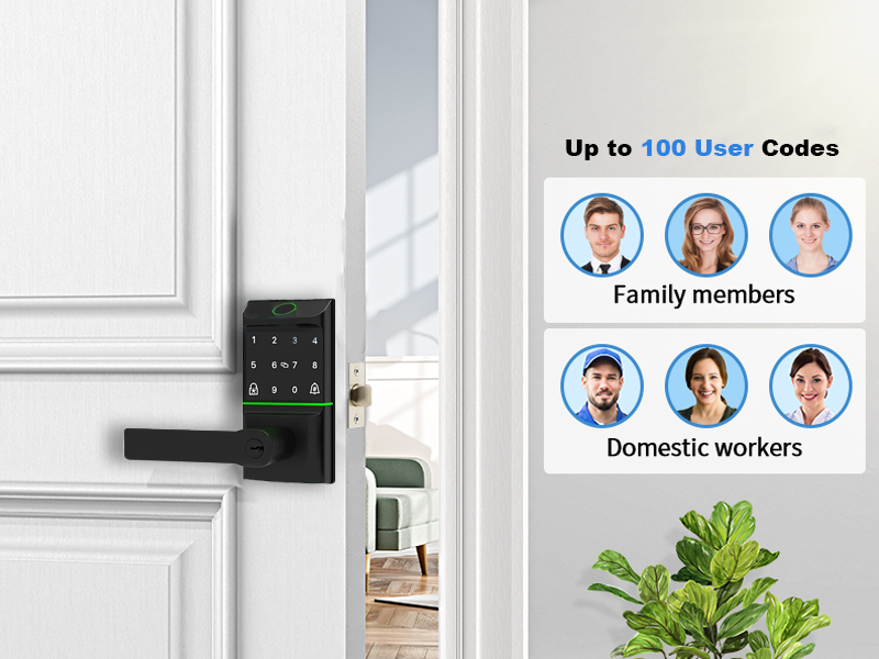 Lock, Biometric Lock, Smart Door Lock, Remote Access, App Control