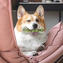 歯磨きボール4 迷彩グリーン