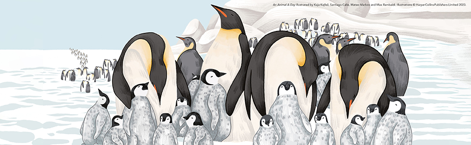 An Animal a Day - penguin illustration