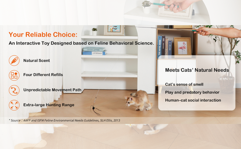 Retractable cat wand toy—mimics real prey, sparks instincts, keeps cats active and happy.