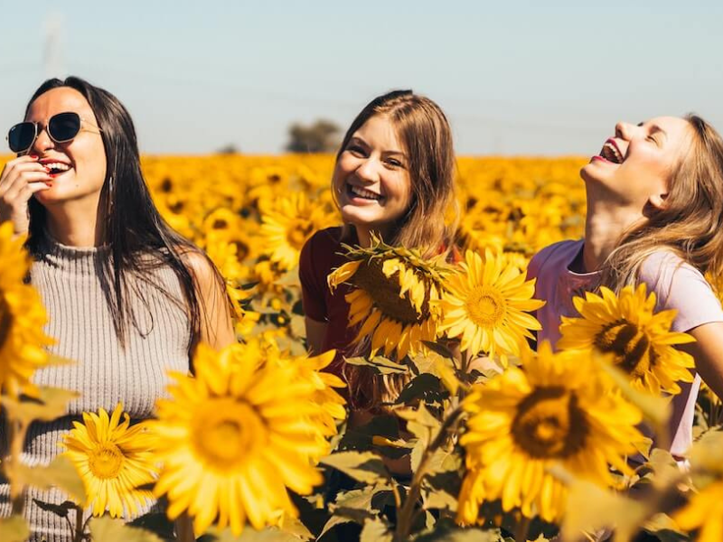 Large manufacture image 1