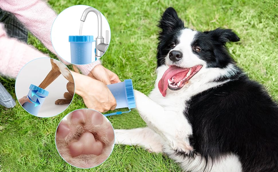 Dog Slicker Brush