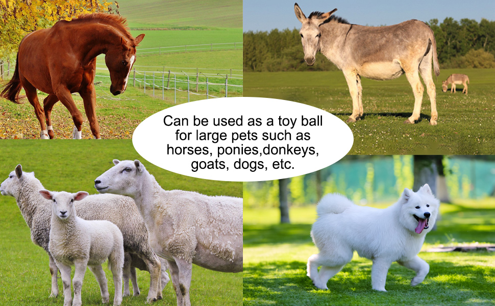 capuca Large Horse Balls for Play Green 30inch AntiBurst