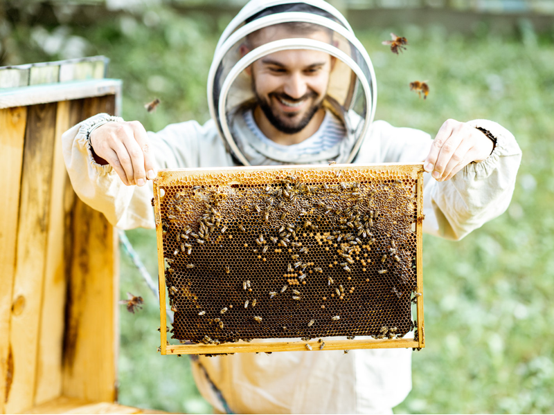 Large manufacture image 3