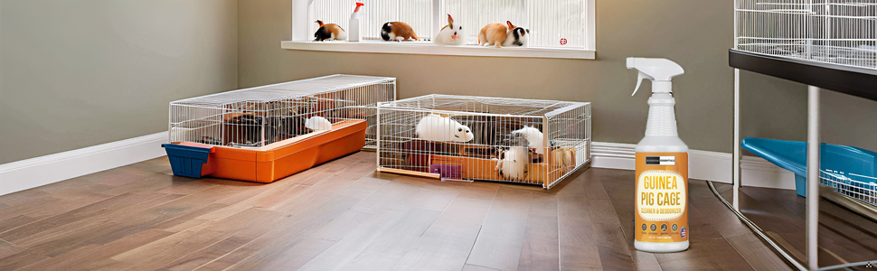 Image generated for ASIN B0DKGBXLJG