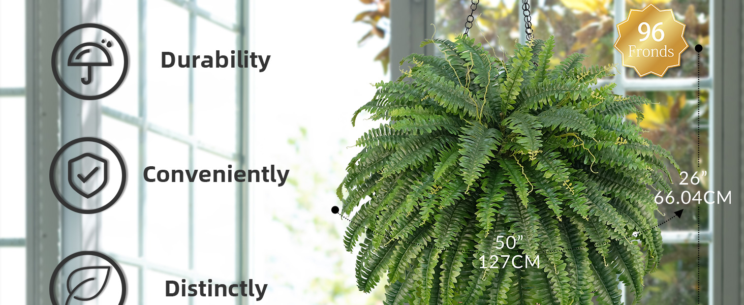 fake ferns