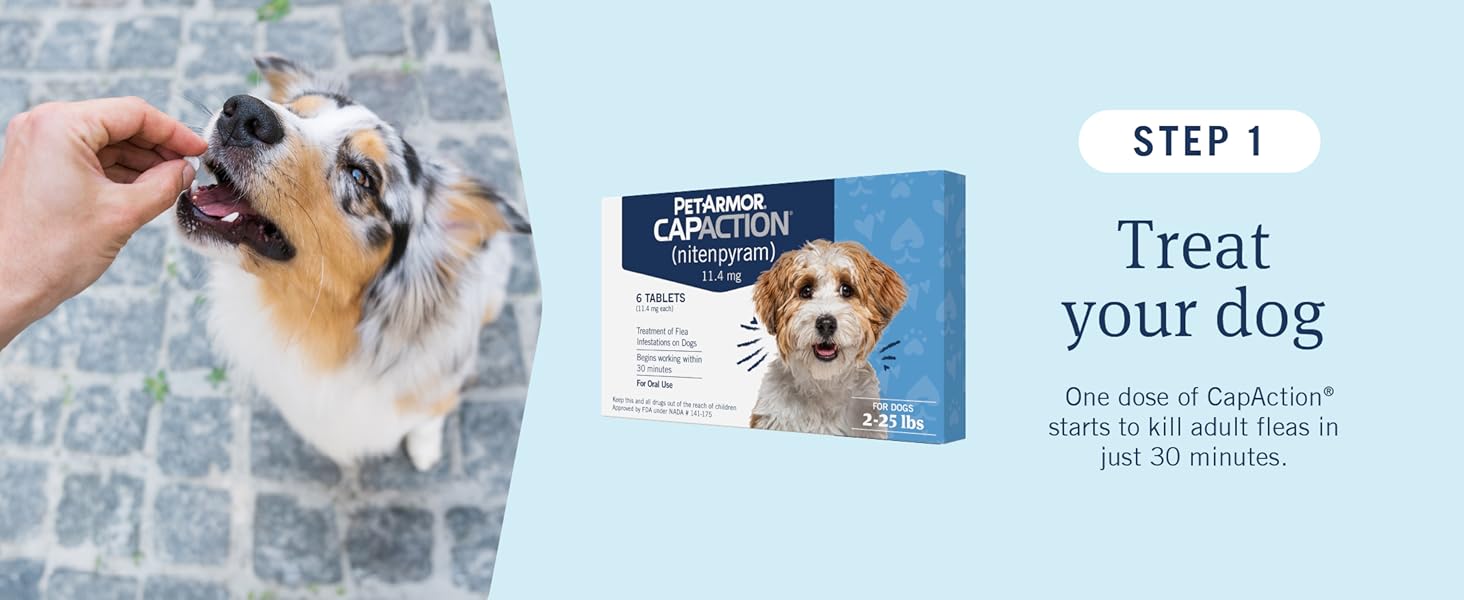 step 1: treat your dog