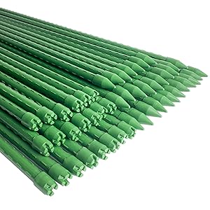 garden canes