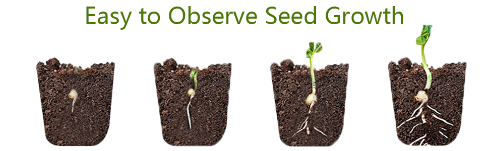 germination tray