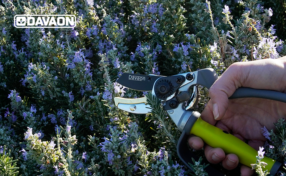 Davaon Pro Kit Sécateur Bypass et Sécateur à Enclume avec Poignée