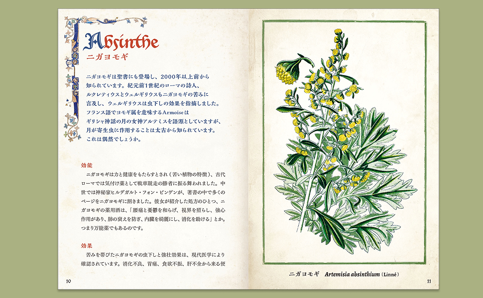 書籍】ひみつの本棚シリーズ 中世の庭の薬草事典