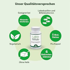 bifido erklärungsbild