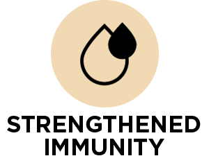 Small manufacture image 7