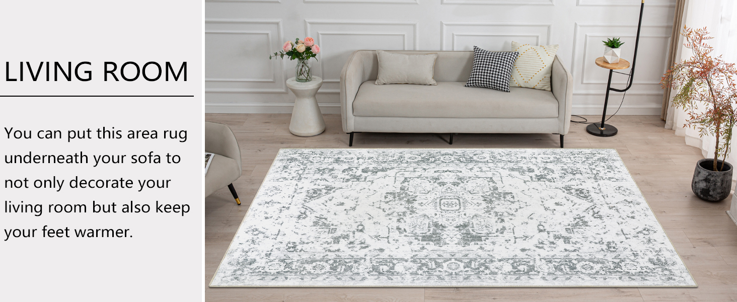 Living Room Rug