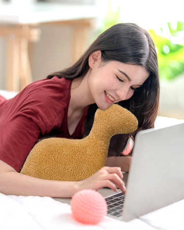 Dino Nugget Pillow