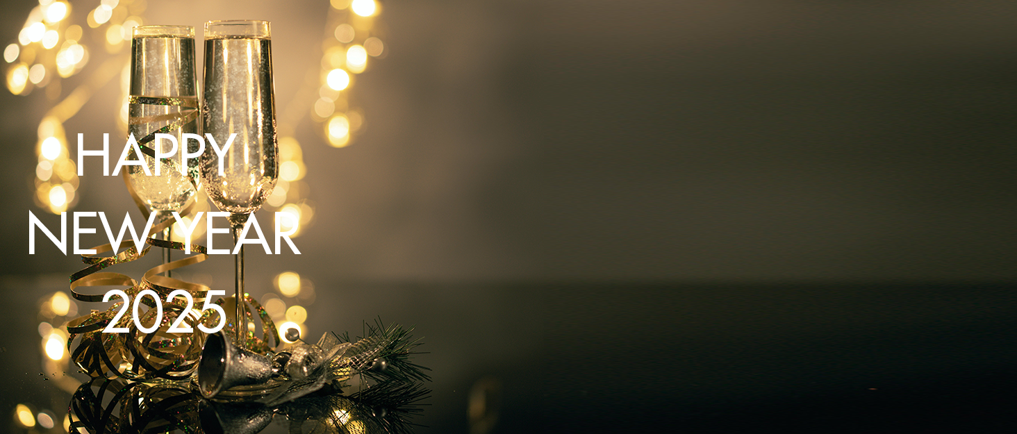 Toddler Girl New Year Outfit 