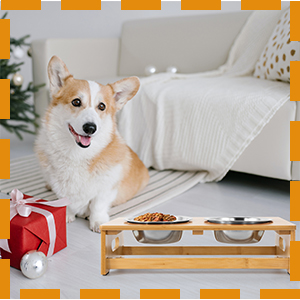 Elevated Dog Cat Bowls for Small Dogs