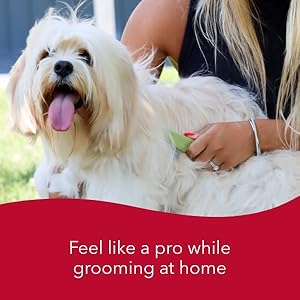 Feel like a pro while grooming at home.