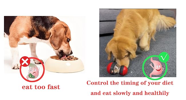 dog treat toy