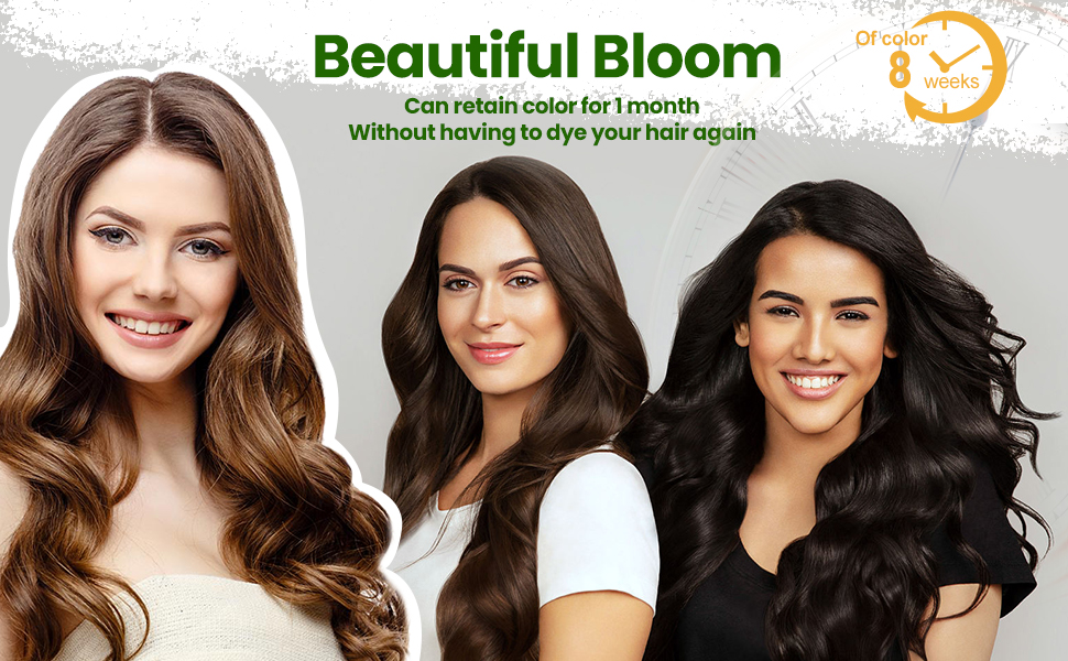 Black Hair Dye Shampoo