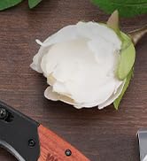utility knife