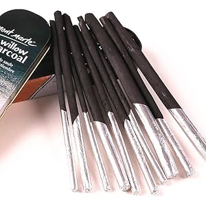 Amazon.co.jp: 画用木炭 10本セット チャコール 芯抜き 木炭 デッサン