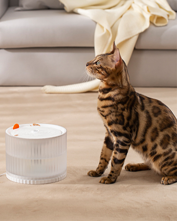 animal water fountain