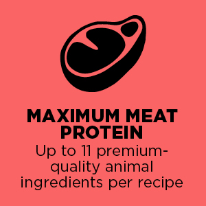 Maximum Meat Protein
