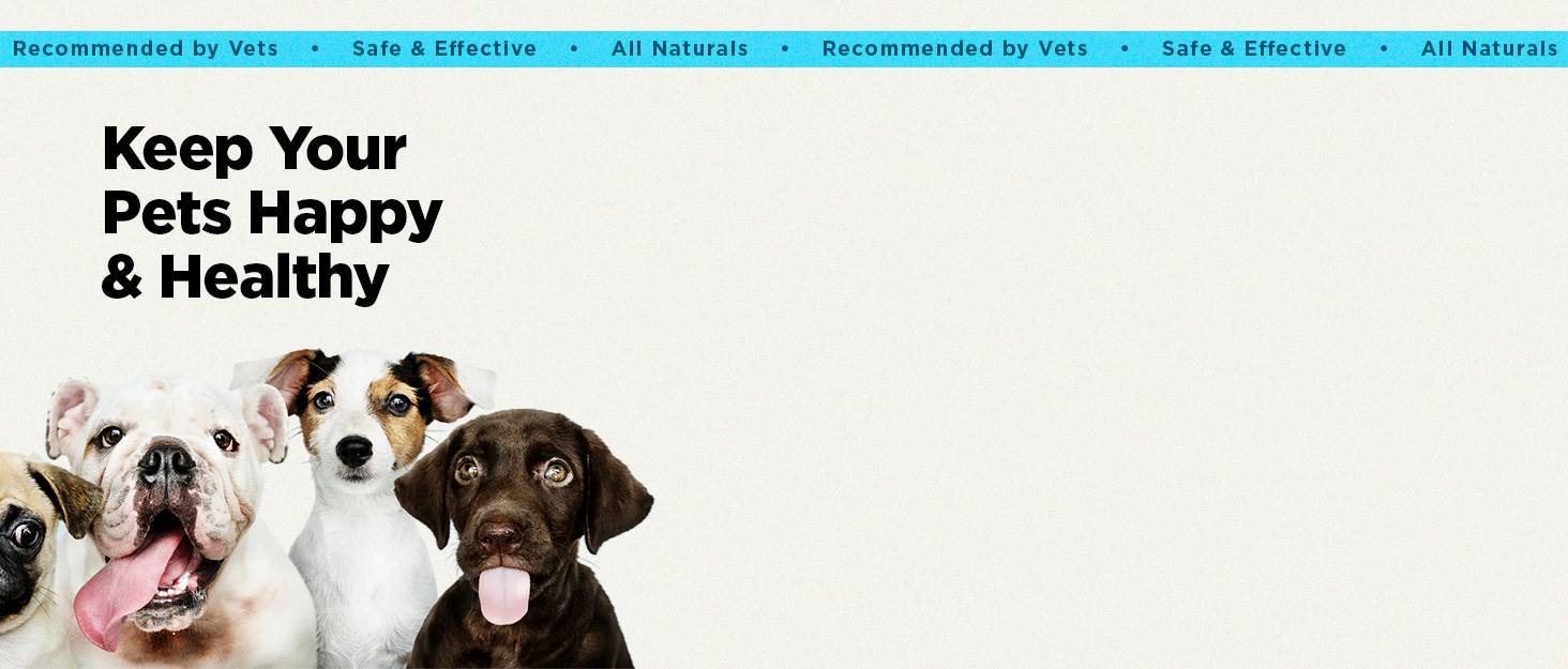 PetJoy