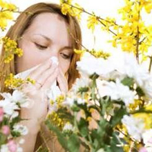 air purifier for pollen