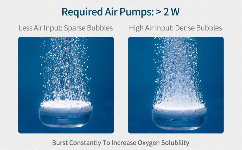 Pawfly Aquarium Air Stone Disc, 1 Inch Small Fish Tank Air Stone Kit