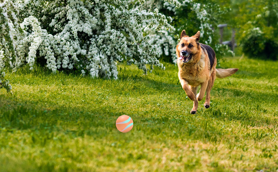 ZKHW Interactive Dog Ball Toys, 3.54 Inches Remote Control