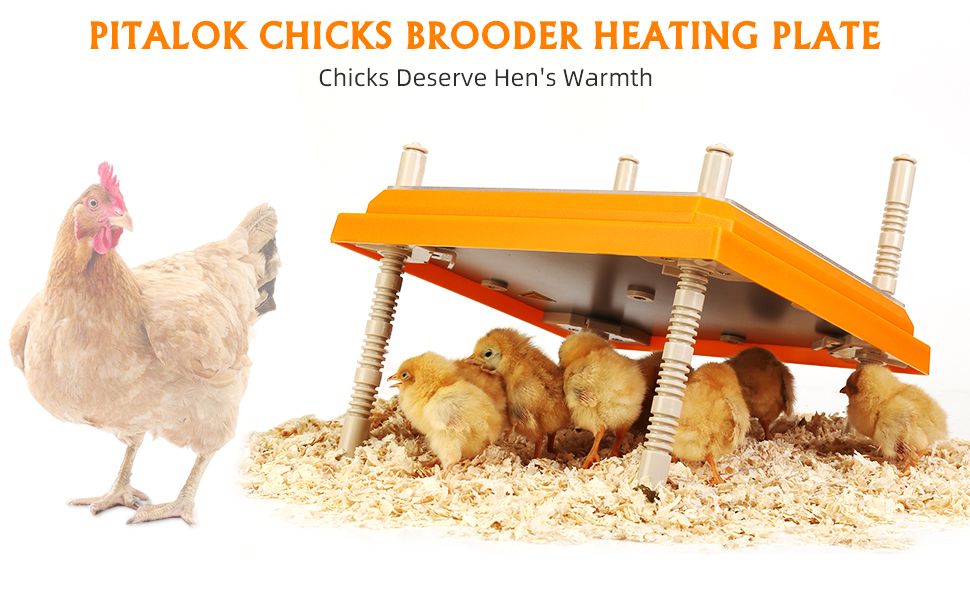 Brooder Heater for Chicks Chick Brooder Heating Plate with Easy