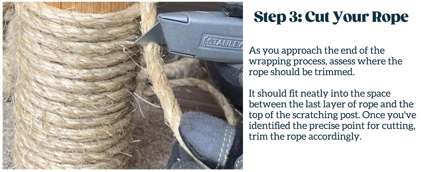 cat scratchers for indoor cats