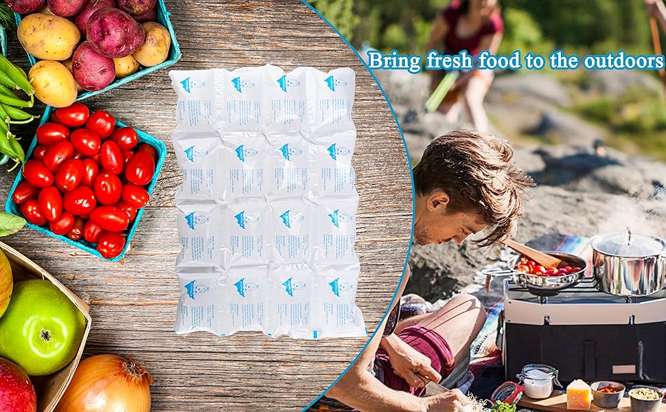 TarppedRock Dry Ice Packs for Shipping Frozen Food, 10