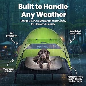 Any weather