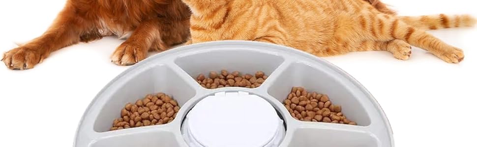 Automatic Pet Dog Cat Feeder