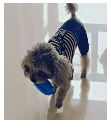 Kauspielzeug für Hunde