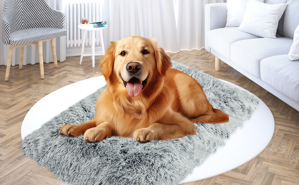 Big Ant Dog Bed, Comfort Fluffy Plush Dog Crate Mat