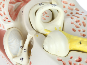 Small manufacture image 1