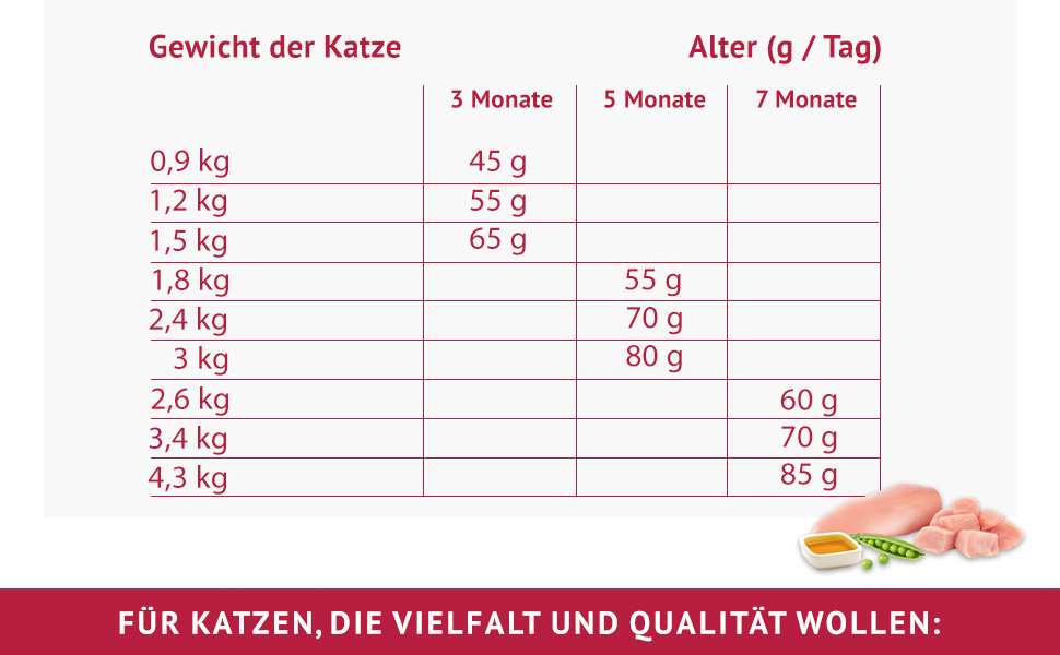 Carny Katzenfutter für Erwachsene