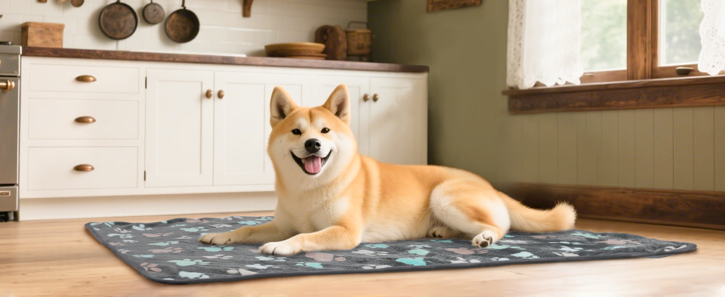 large dog blanket