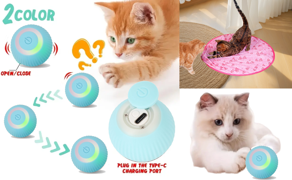 SVIEILLES Guitar Cat Toy,Simulate Your Cat's Hunting Instincts with The