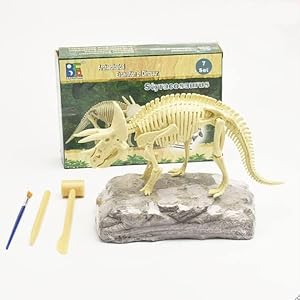 恐竜化石博物館 5体セット 模型 おもちゃ Amazon | 正直屋 恐竜発掘骨格 化石発掘キット 化石 発掘
