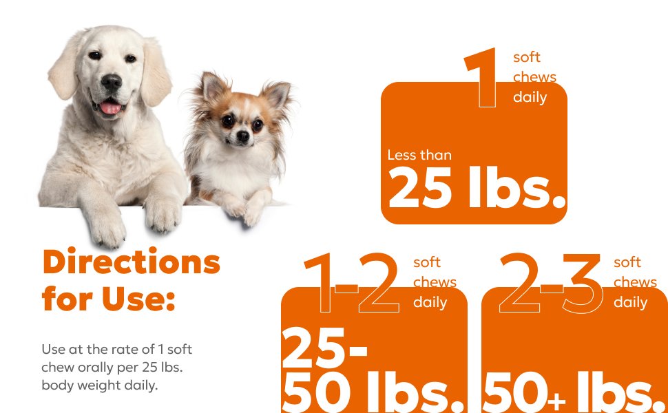 Wholesome Pet Wags Hip & Joint